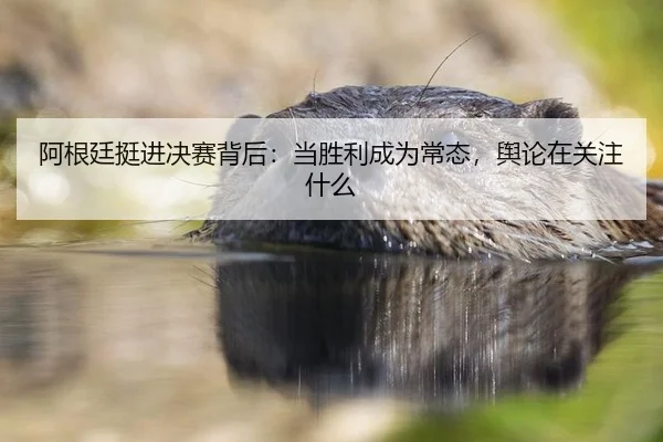 阿根廷挺进决赛背后：当胜利成为常态，舆论在关注什么
